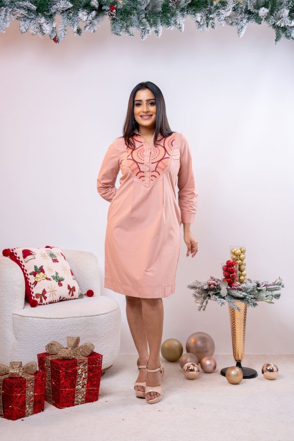 Front York Embroidered Short Dress - Image 5
