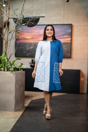 Embroidered Two-Tone Short Dress