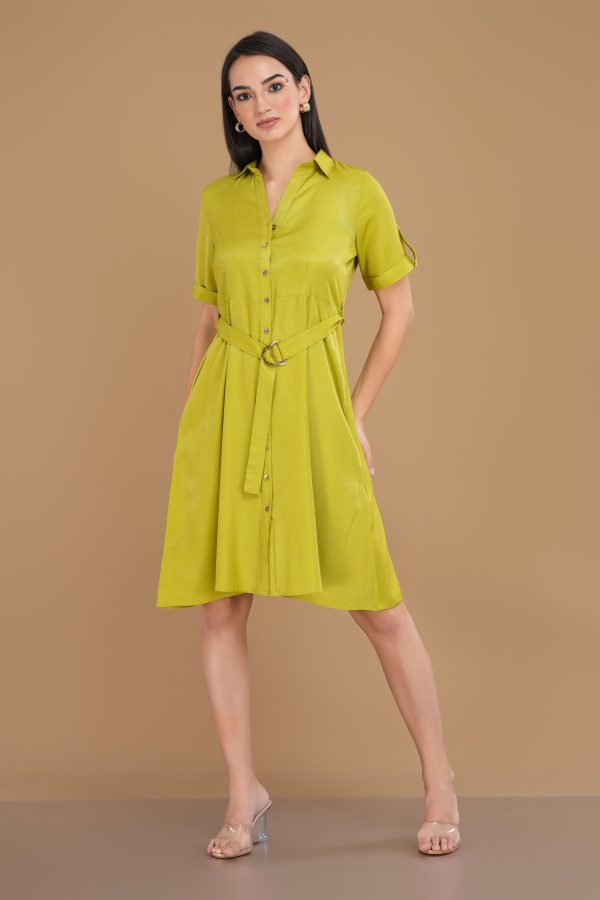 Shirt Collar Front Open Flared Short Dress - Image 2