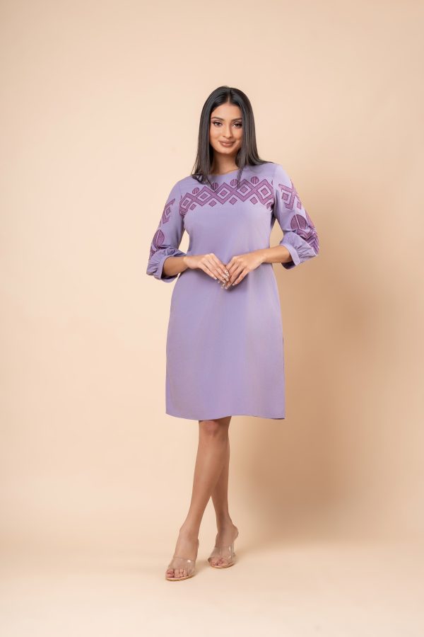 Embroidery A-Line Short Dress - Image 4