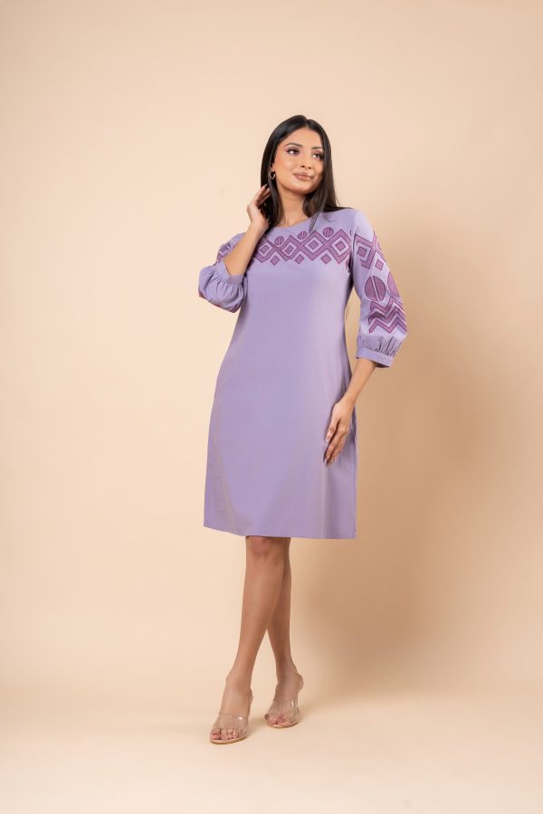 Embroidery A-Line Short Dress - Image 3